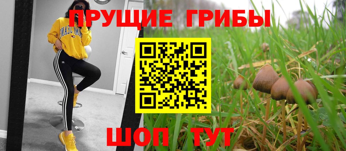 Галлюциногенные грибы Psilocybe  Галлюциногенные грибы мухоморы  Вход с VPN  Усть-Джегута 